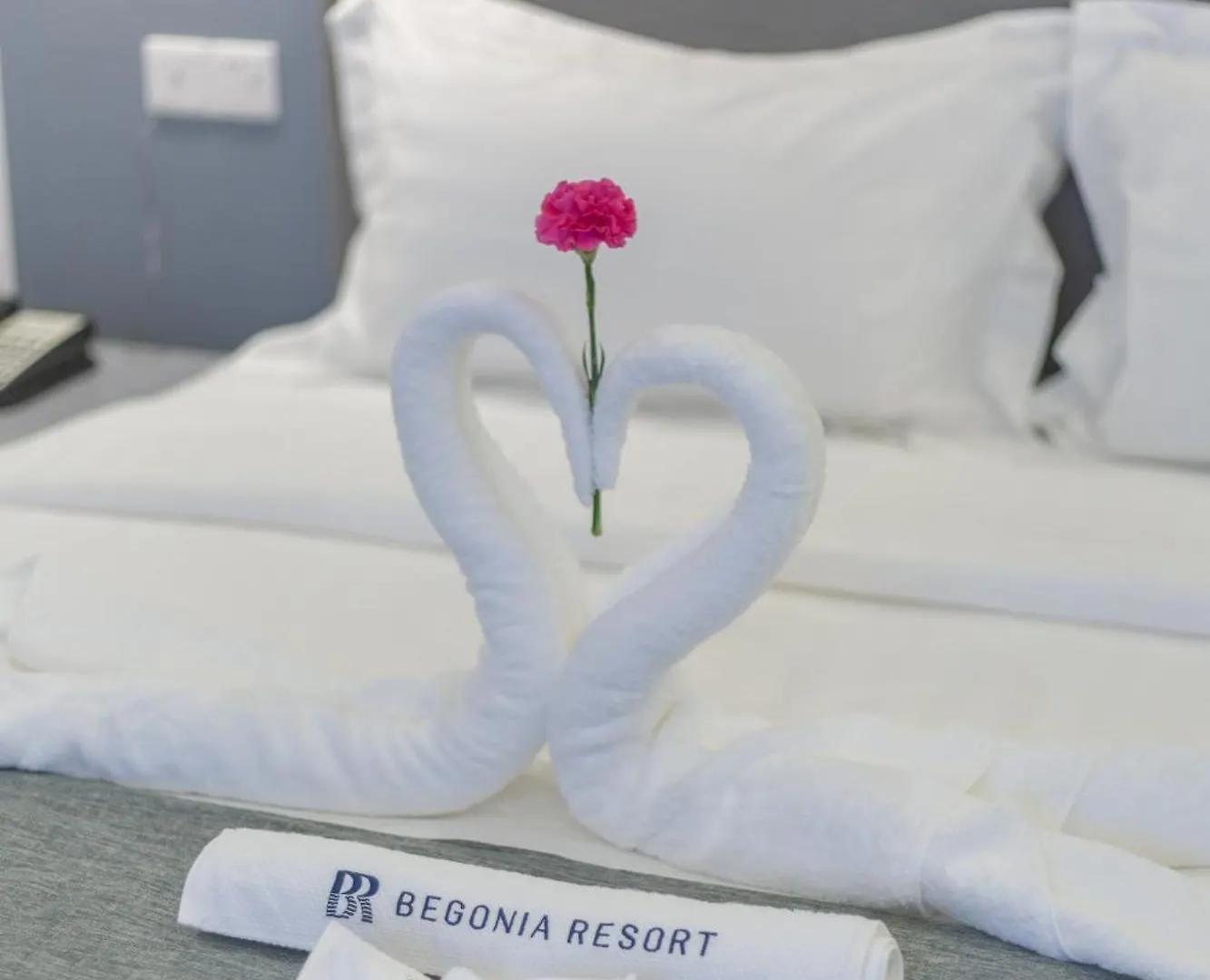 Hotel Bohol Panglao Begonia Resort